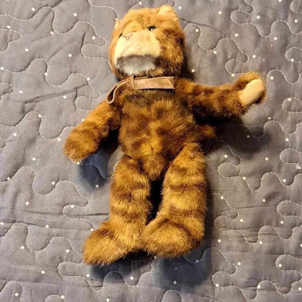 Russ Tabatha cat